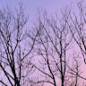 Meet your Posher, Paige